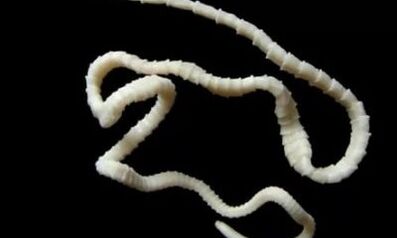 comment éliminer le parasite cestode du corps